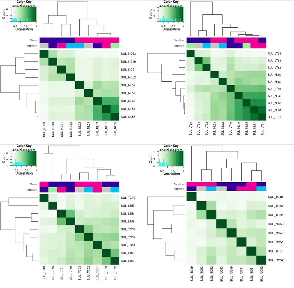 heatmap from Diffbind