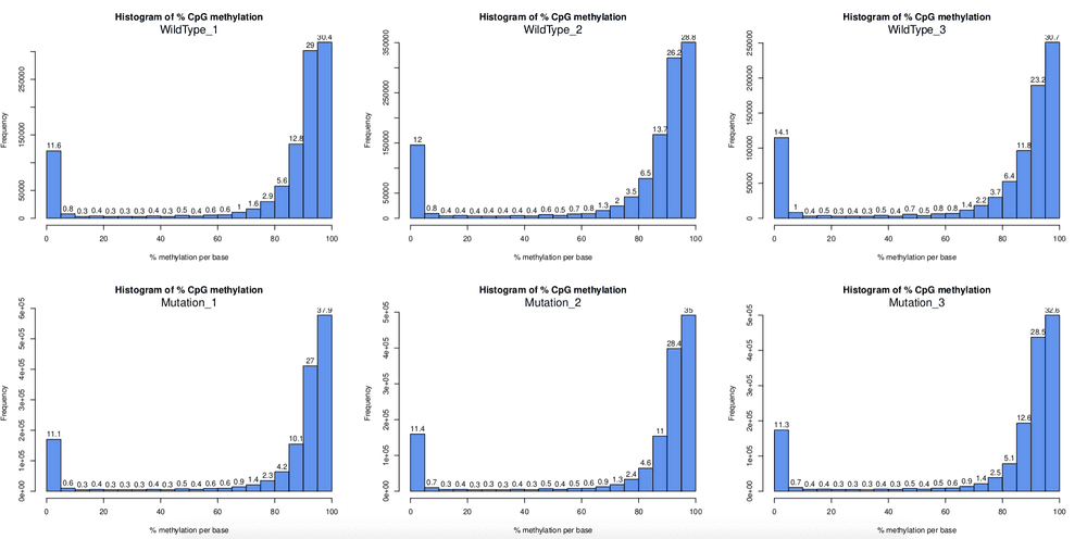 Density Histgram